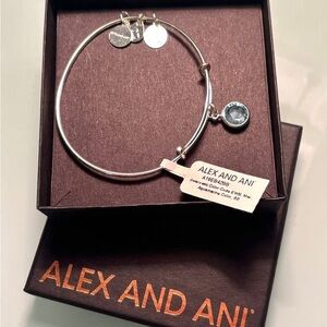 Alex and Ani Silver Charm Bangle with March Aquamarine Color Stone - NWT